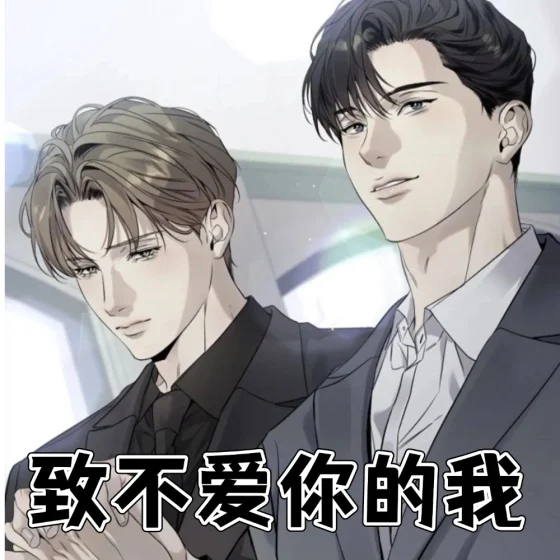 致不爱你的我封面